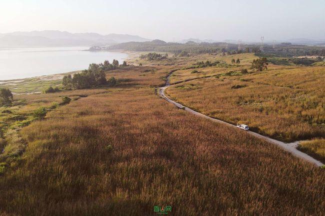 榕江县崇义乡:冬季茶园管护忙 来年春茶满山香
