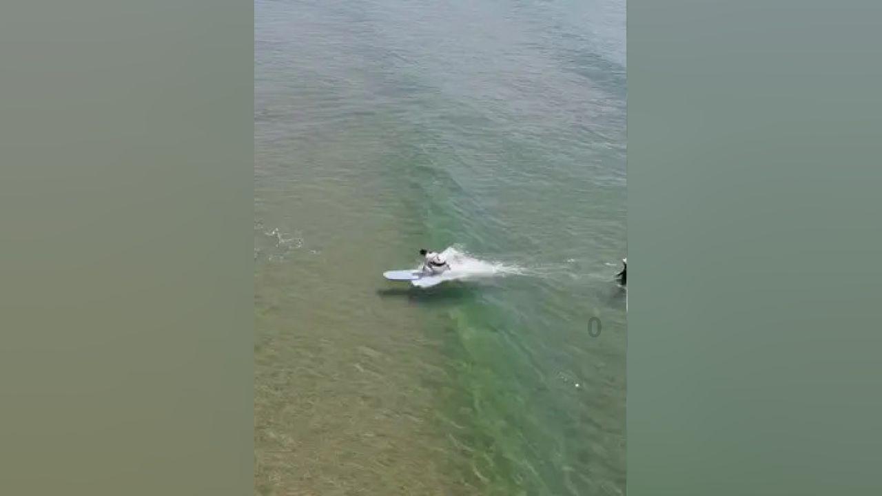 【世界防治麻风病日】可防可治不可怕!麻风病防治小知识