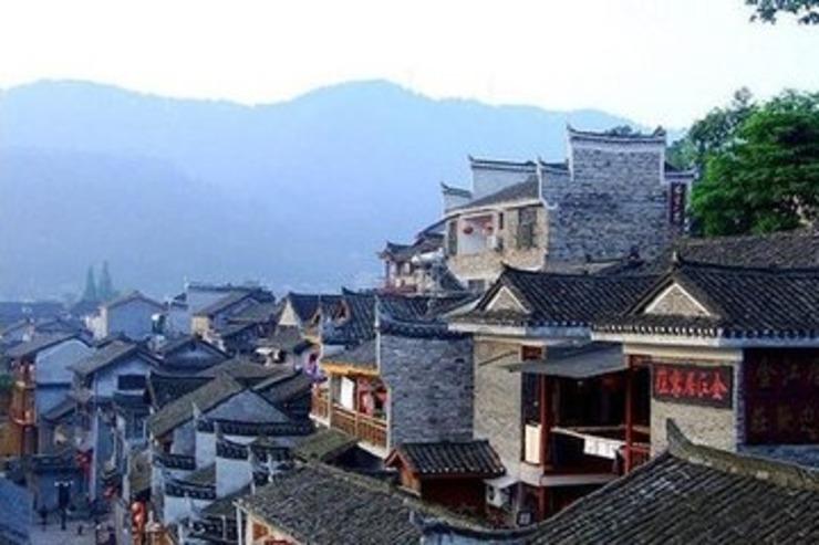 动物帮帮忙保卫家园