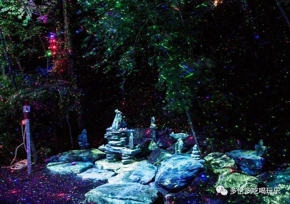 意天空:继续抓人,警方又确认四名种族歧视迈尼昂的乌迪内斯球迷